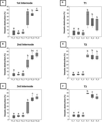 Physiological and developmental disturbances caused by Botryosphaeria dieback in the annual stems of grapevine